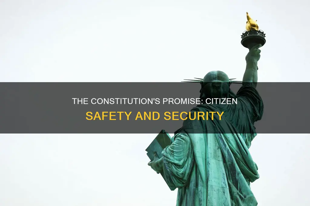 where in the constitution is saftey of citizens