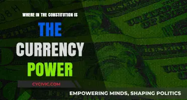 The Currency Power: Exploring Constitutional Roots