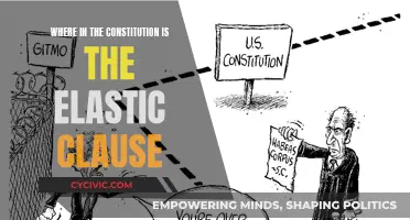 The Elastic Clause: A Constitution's Flexibility and Adaptability