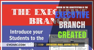 The Executive Branch: Constitutional Roots and Powers