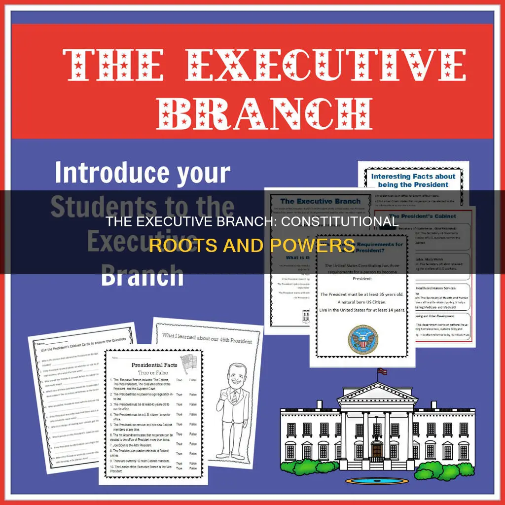 where in the constitution is the executive branch created