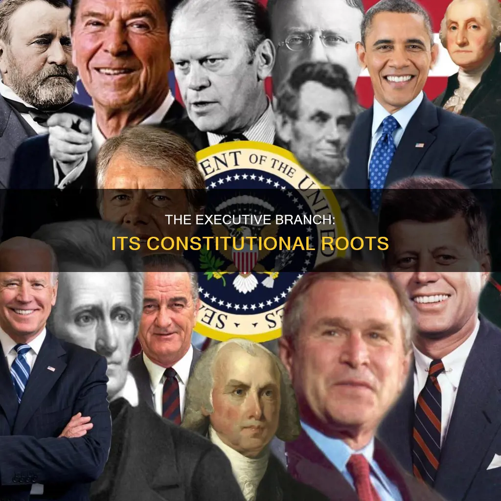 where in the constitution is the executive branch referenced