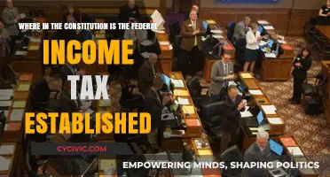 The Federal Income Tax: Where in the Constitution?