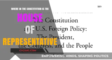 The House of Representatives: Constitutional Foundation of US Democracy