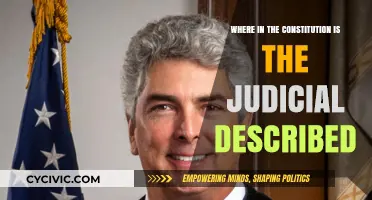 The Judicial Branch: Constitutional Foundation