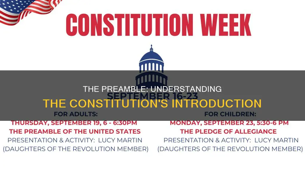where in the constitution is the preamble located