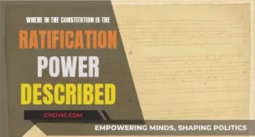 The Constitution's Ratification Power: Explaining the Amendment Process