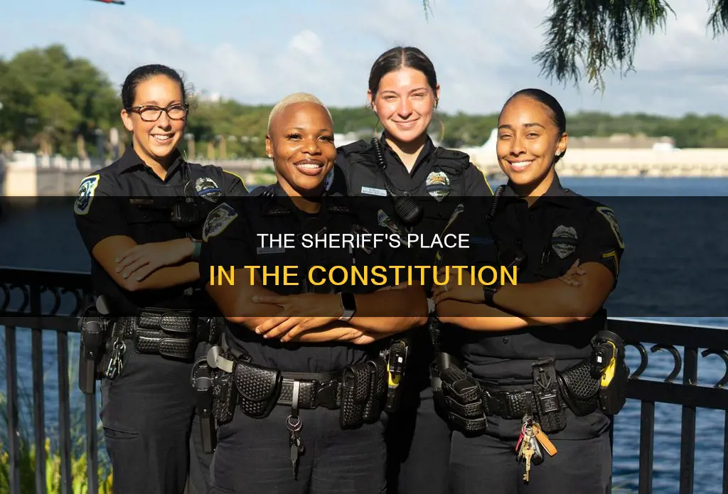 where in the constitution is the sheriff located