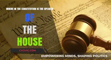 Speaker of the House: What the Constitution Says
