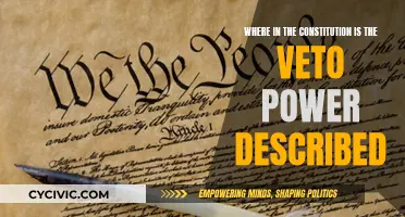 The President's Veto Power: Exploring Constitutional Roots