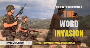 Invasion: Is It in the Constitution?