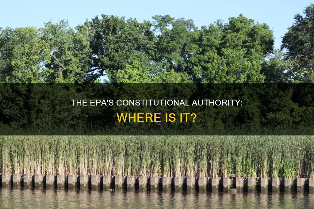 where in the constitution is their authority for the epa