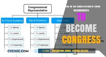 Qualifications for Congress: What the Constitution Says