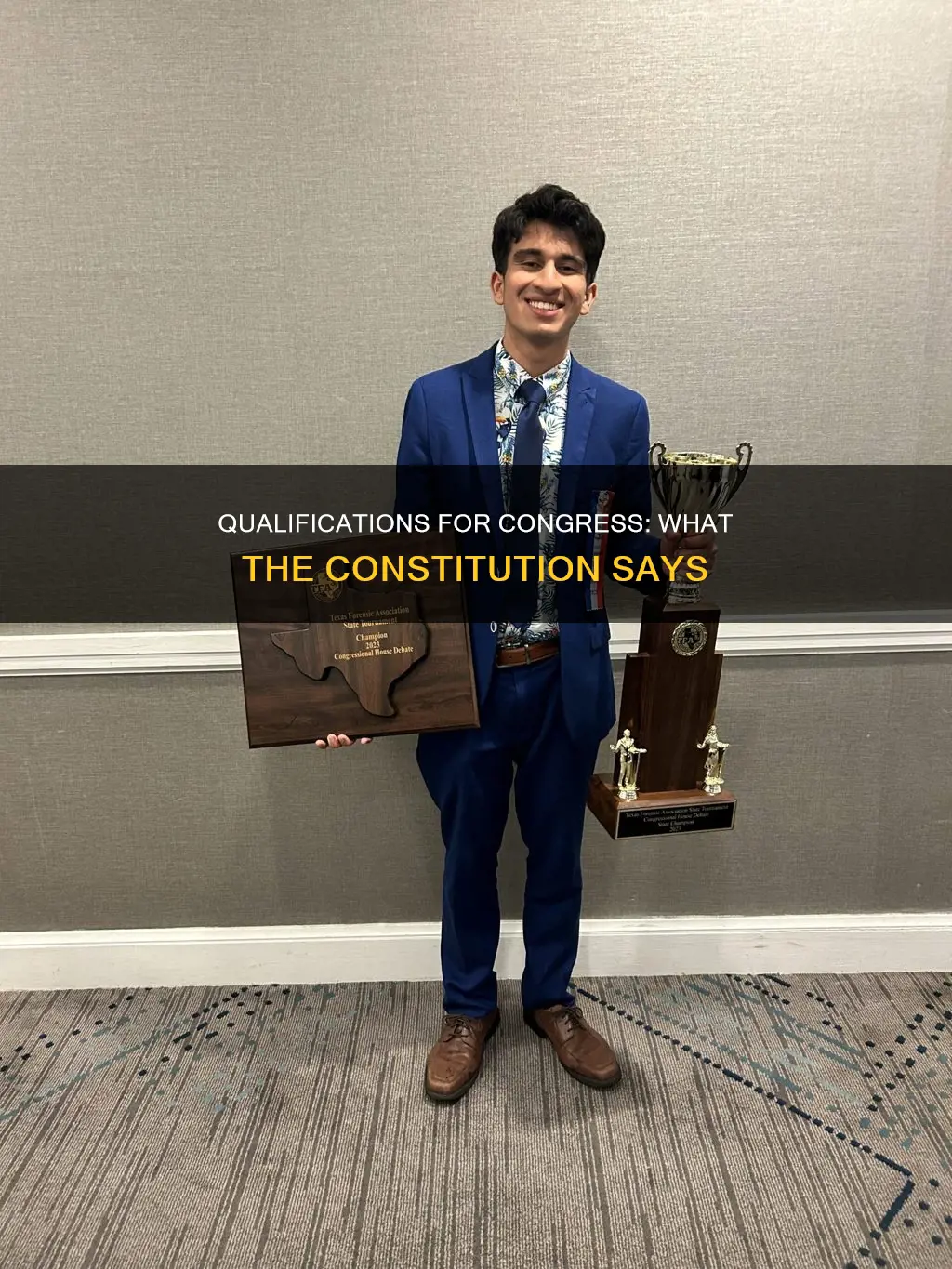 where in the constitution is there requirements to become congress