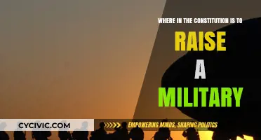 The Constitution's Military Clause: Understanding the Fine Print