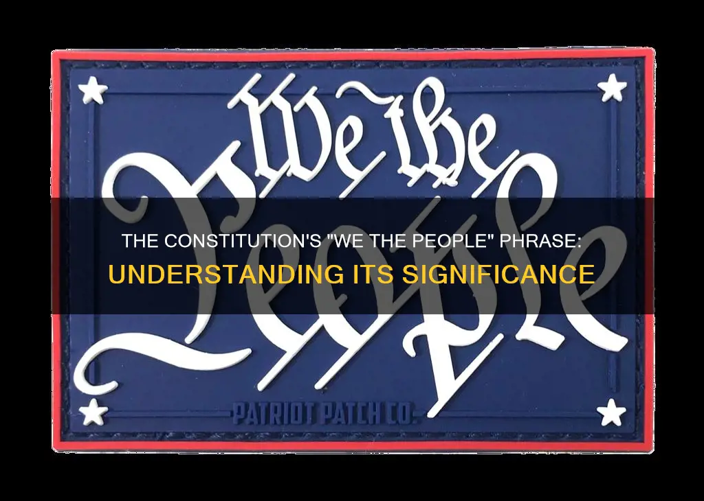 where in the constitution is we the people
