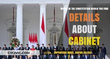 The Constitution and the Cabinet: Where to Look