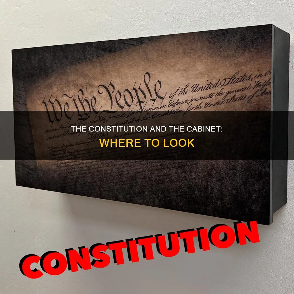 where in the constitution would you find details about cabinet