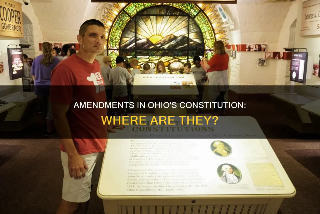 where in the ohio constitution do the amendments appear