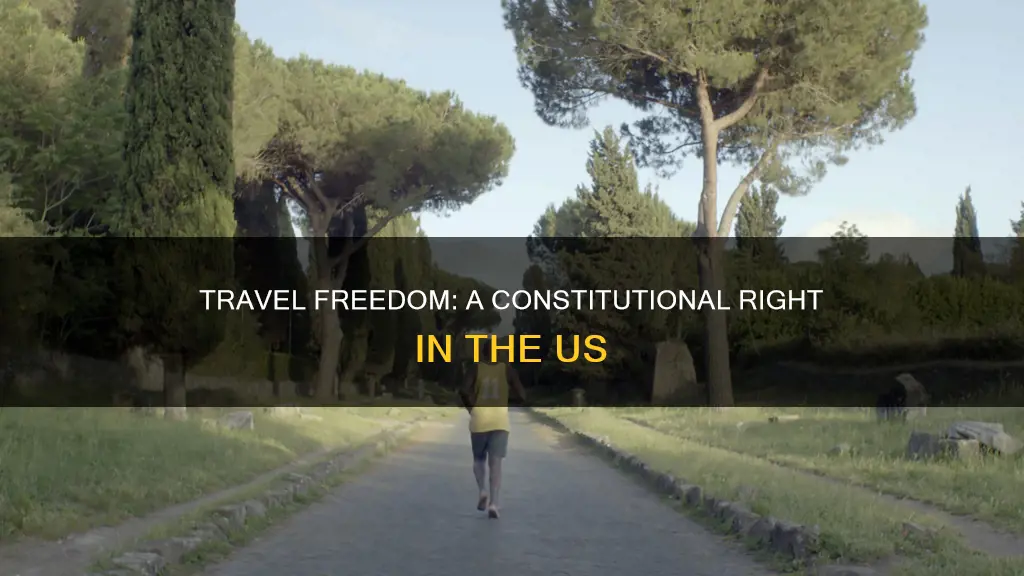 where in the us constitution is free travel