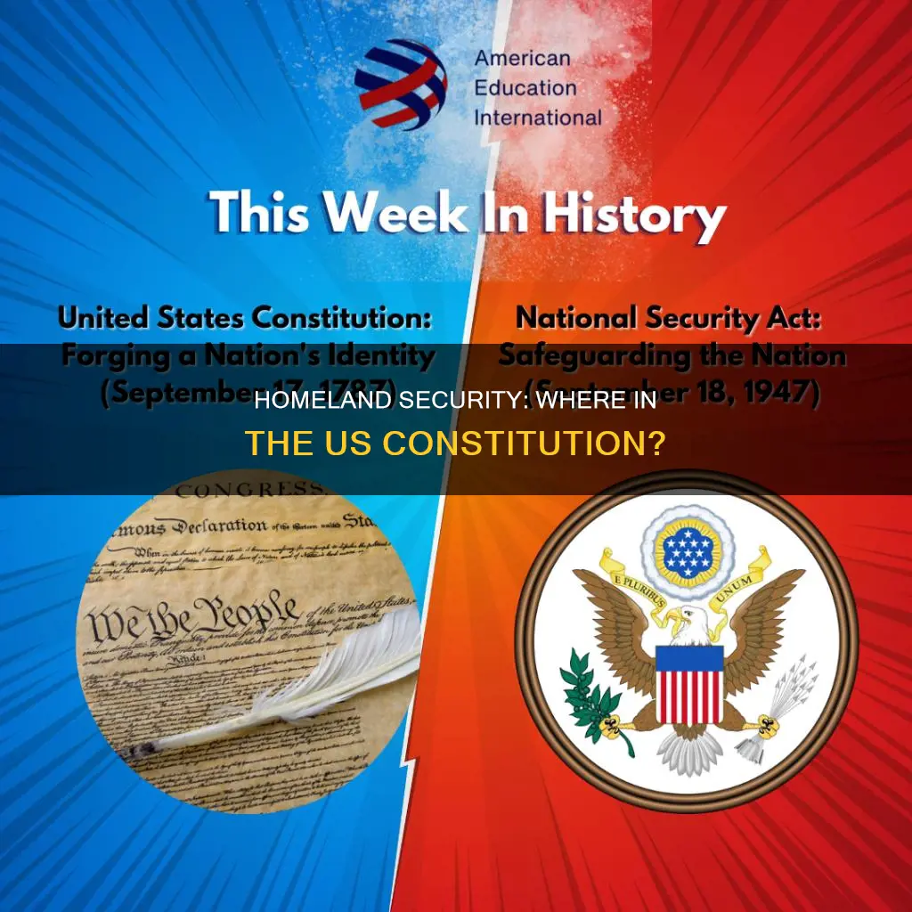 where in the us constitution is homeland security discussed