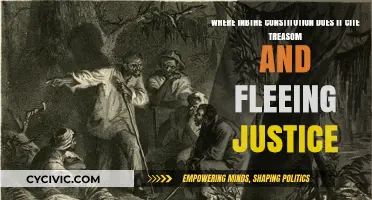 Constitution's Take on Treason and Fleeing Justice