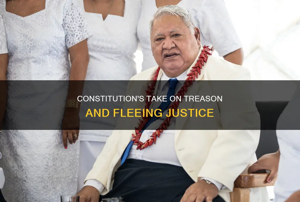 where inbthe constitution does it cite treasom and fleeing justice