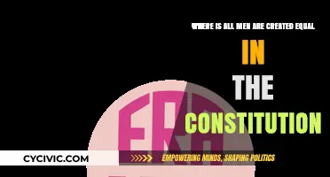 Founding Fathers' Vision: Equality in the Constitution