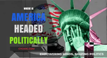 America's Political Trajectory: Divides, Shifts, and Future Directions Explored