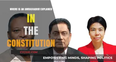 The Ambassador Clause: Explained in the Constitution