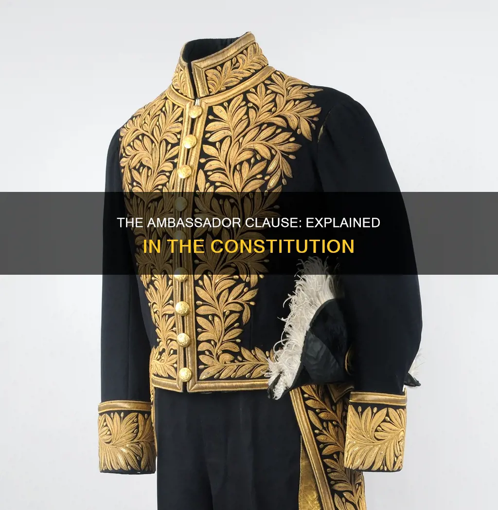 where is an ambassador explained in the constitution