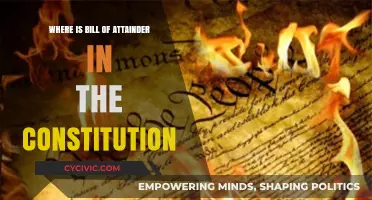 Bill of Attainder: Exploring Constitutional Exemptions