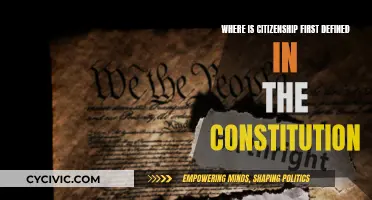 The Constitution's Citizenship Clause Explained