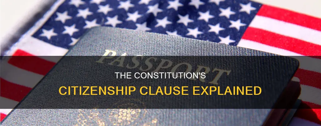 where is citizenship first defined in the constitution