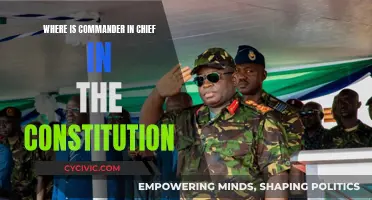 Commander in Chief: A Constitutional Conundrum