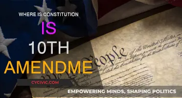 The Tenth Amendment: States' Rights and the US Constitution