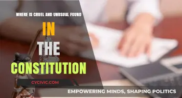 Cruel and Unusual Punishment: Exploring the 8th Amendment