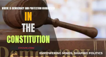 Democracy and Protection: Where Does the Constitution Stand?