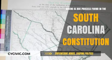 South Carolina Constitution: Due Process Explained