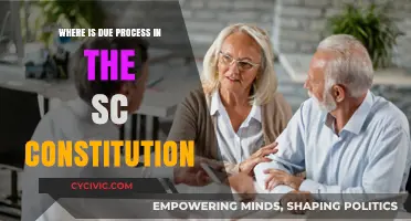 Due Process: SC Constitution's Missing Piece