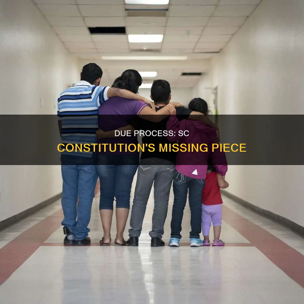 where is due process in the sc constitution