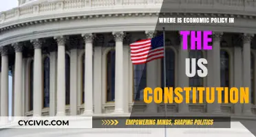 The Constitution's Economic Policy: A Historical Perspective
