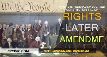 Federalism: Constitution, Rights, and Amendments Explained