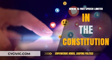 The Limits of Free Speech in the Constitution