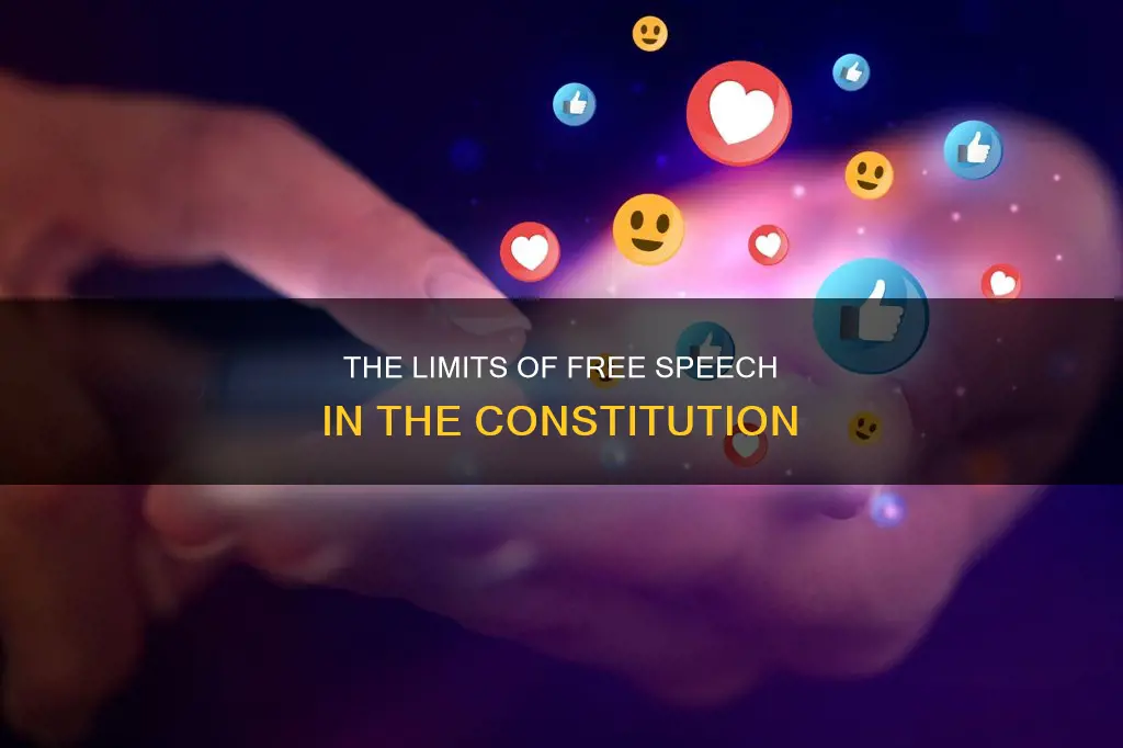 where is free speech limited in the constitution