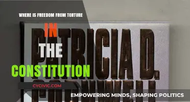 Torture and the Constitution: Where's the Freedom?