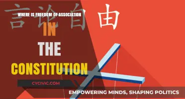 The Constitution's Freedom to Assemble and Associate