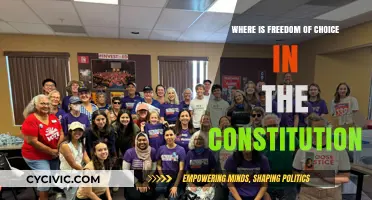 Freedom of Choice: Constitutional Right or Myth?