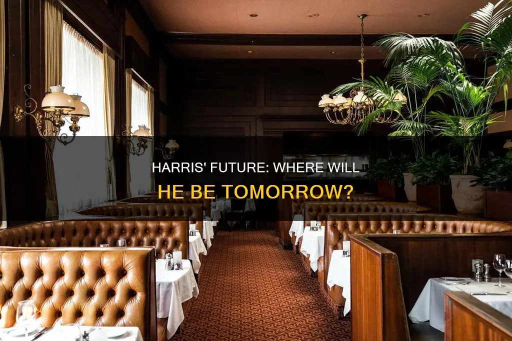 where is harris tomorrow