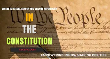 The Constitution's Search and Seizure Safeguards